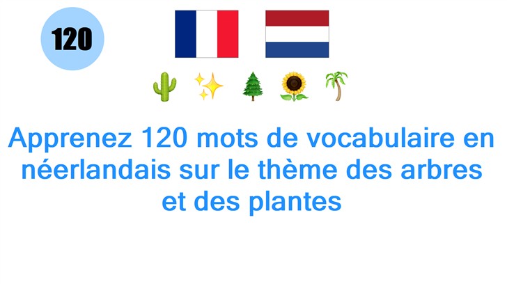 Apprenez 120 mots de vocabulaire en néerlandais sur le thème des arbres et des plantes